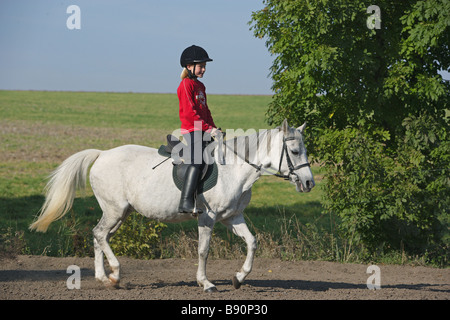 Girl riding Pony Équitation allemande sur Banque D'Images