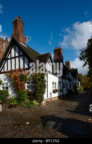 L'automne à grande Budworth Nr Northwich Cheshire UK Banque D'Images