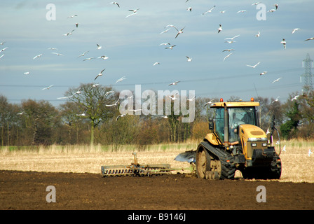 Champ de labour du tracteur. Banque D'Images