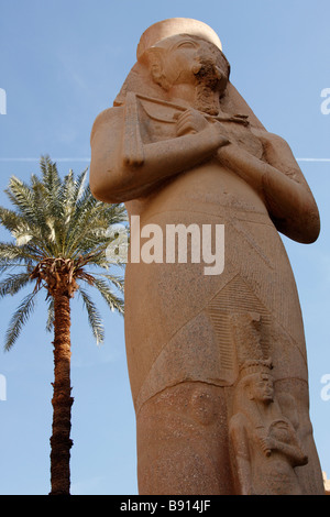 Statue colossale de Pharaon Ramsès II, sa fille La Princesse Bent'anta ou la reine Nefertari à ses pieds, Temple de Karnak, Louxor, Egypte Banque D'Images