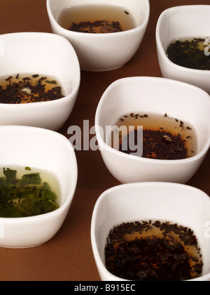 Une variété de thés dans des pots blancs sur un fond brun Banque D'Images