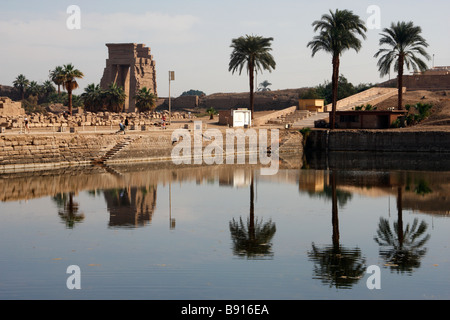 Palmiers reflétée dans l'eau du lac sacré, Temple de Karnak, Louxor, Egypte, [Afrique du Nord] Banque D'Images