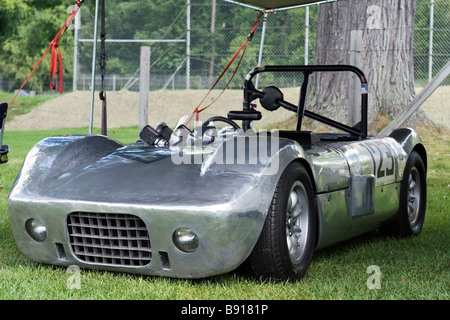 La race d'argent voiture garée sur l'herbe Banque D'Images