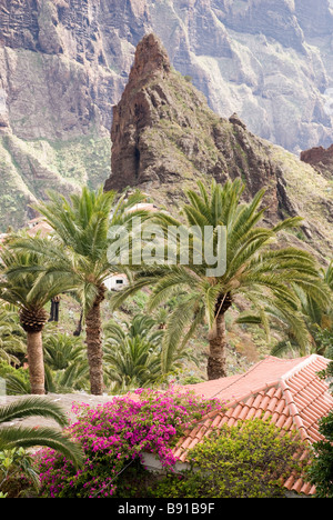 Cette image montre Masca, un petit village idyllique dans la région de Tenerife sur l'Canaray Islands Banque D'Images