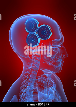 Les engrenages dans cerveau humain Banque D'Images