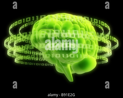 Cerveau artificiel Banque D'Images