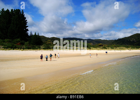 Awaroa Bay, parc national Abel Tasman, Tasman, île du Sud, Nouvelle-Zélande Banque D'Images