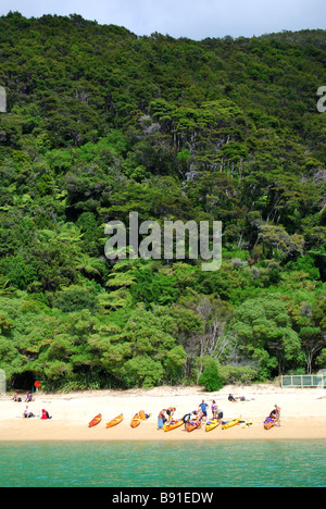 Tonga Bay, parc national Abel Tasman, Tasman, île du Sud, Nouvelle-Zélande Banque D'Images