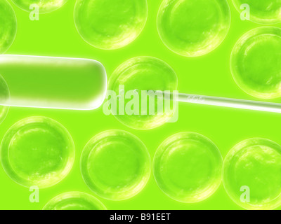 La manipulation des cellules Banque D'Images