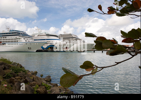 Les navires de croisière dans le port à St John s la ville principale Banque D'Images