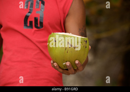 Homme montrant comment ouvrir une noix de coco fraîche jeune Banque D'Images