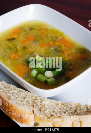 Soupe aux légumes maison avec des morceaux de pain à l'oignon et la ciboule. Banque D'Images