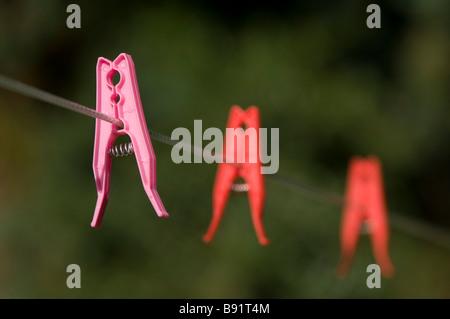 Peg rose sur un lave-ligne avec chevilles de rouge à l'arrière-plan Banque D'Images