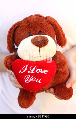 Ours en peluche Banque D'Images