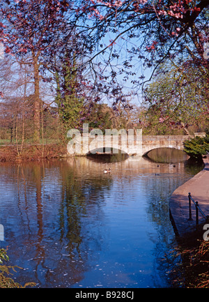 Lac et pont, Markeaton Park, Derby, Derbyshire, Angleterre, RU Banque D'Images