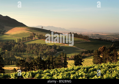 Vue des vignobles de Stellenbosch au coucher du soleil, Province de Western Cape Afrique du Sud Banque D'Images