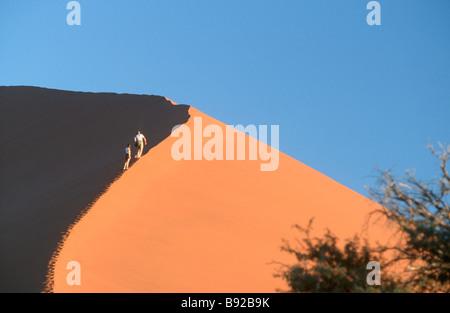Les touristes l'ascension d'une dune de sable dans le désert du Namib Namibie Sossosvlei Banque D'Images