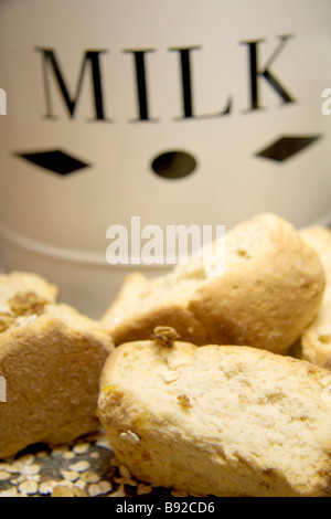 Afrique du Sud traditionnels biscuits pain connu localement comme des biscottes Studio shot Banque D'Images