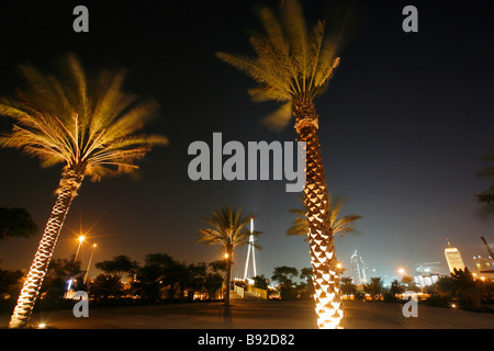 Palmiers dans Zabeel park avec les toits de Dubaï en arrière-plan photographié de nuit Zabeel Park Dubaï Émirats Arabes Unis Banque D'Images