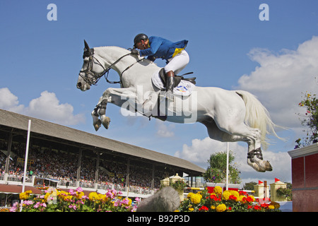 Cheval Holsteiner - jumping Banque D'Images