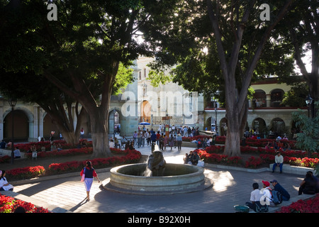 Oaxaca Zocala plaza ou carré Banque D'Images