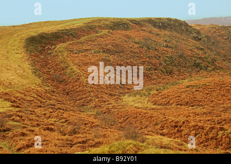 Un tronçon de l'Antonine Wall sur Croy Hill près de Kilsyth Banque D'Images