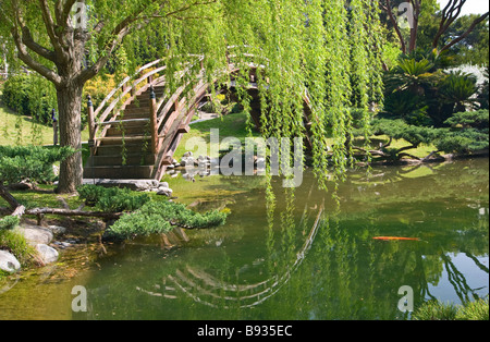 Jardin japonais avec lune Bridge et étang de lotus et de poissons Koi. Banque D'Images