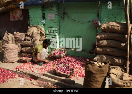 Un vendeur de légumes épluche les oignons rouges au marché de Nehru à New Delhi, en Inde. Banque D'Images