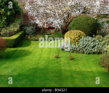 Go - GLOUCESTERSHIRE : Jardin typiquement anglais au printemps Banque D'Images