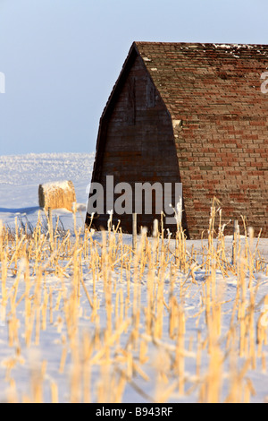 Ancienne grange en hiver en Saskatchewan Banque D'Images