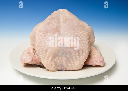 Ensemble le poulet cru avec un fond bleu dégradé studio Banque D'Images