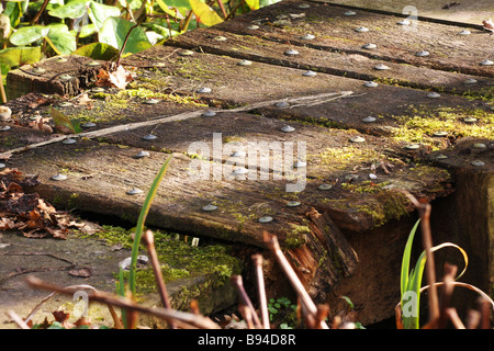 Pied en bois vieux pont sur un ruisseau.old bandes couverts de mousse et très glissants, prendre soin lors de l'utilisation de cette route. Banque D'Images