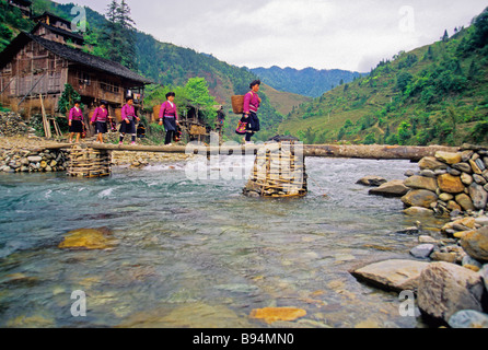 Des femmes par nationalité Yao rouge ruisseau dans le comté de Longsheng Longji terrasses de riz près de Banque D'Images