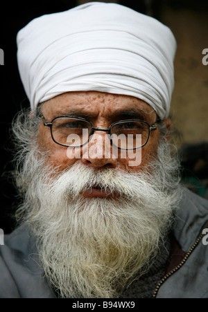 Delhi Inde 1 février 2008 vieux barbu blanc homme sikh avec turban et spectacles Banque D'Images