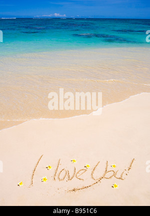 Les mots "I love you" sont écrits sur une plage de sable à Hawaï avec plumeria blossoms aux côtés Banque D'Images