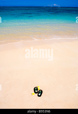 Une paire de sandales pour un enfant et une fleur de frangipanier sur une plage de Hawaï Banque D'Images