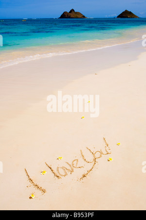 Les mots "I love you" sont écrits sur une plage de sable à Hawaï avec plumeria blossoms aux côtés Banque D'Images