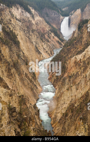 Vue de l'établissement Yellowstone Falls chutes supérieures à Parc National de Yellowstone au Wyoming USA Banque D'Images