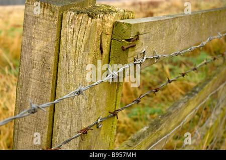 Poteau de clôture en bois et fil barbelé gros plan Angleterre Royaume-Uni Royaume-Uni Grande-Bretagne Banque D'Images