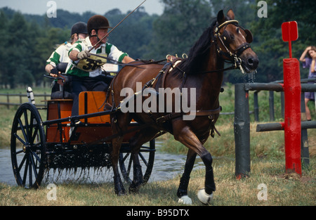 Cheval Chevaux Equitation Sport essais à Sandringham Norfolk en Angleterre. Banque D'Images