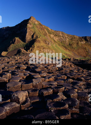 L'Irlande du Nord, le comté d'Antrim, la Chaussée des Géants. Vue sur les colonnes de lave basaltique de verrouillage vers le sud à partir de la section principale. Banque D'Images