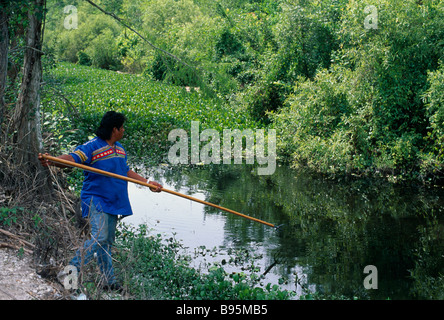 USA Everglades de Floride Banque D'Images