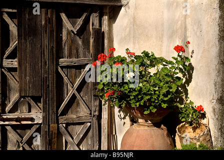 L'Italie, Campanie, Salerno, Ravello, la Villa Cimbrone. Urne en céramique à côté de géraniums rouges porte d'entrée en bois. Banque D'Images