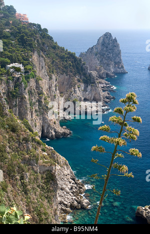 L'Italie, Campanie, île de Capri, la ville de Capri. Vue vers Faraglioni de jardins d'Auguste. Banque D'Images