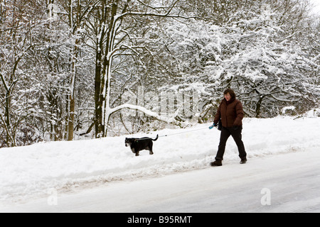 La promenade du chien sur les Cotswolds en neige de l'hiver à Barrow Service, Gloucestershire Banque D'Images