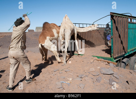 L'Afrique de l'Ouest Mauritanie Route de l espoir Nema fin de la route Banque D'Images