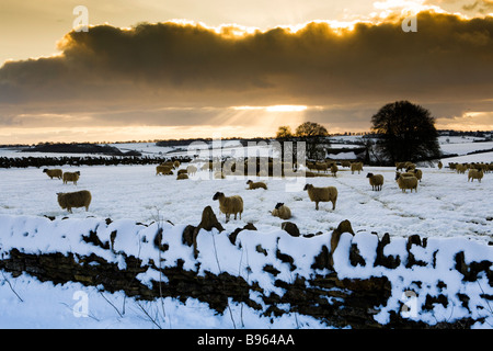 Un coucher de soleil d'hiver dans la neige sur les Cotswolds entre Turkdean et Notgrove, Gloucestershire Banque D'Images