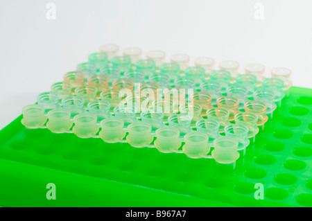 Une plaque de 96 puits utilisés dans la recherche médicale et biologique Banque D'Images