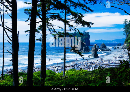 Ruby Beach. Olympic National Park, Washington peut être plus accessible tidepool épaves plage dans le parc. Vue de la piste. Banque D'Images