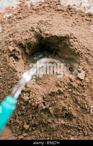 Le sable et le ciment de Portland ont été mélangés et l'eau est ajoutée dans un trou dans le centre Banque D'Images
